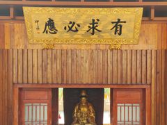-深圳市中科院仙湖植物园