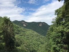 -龙道沟景区