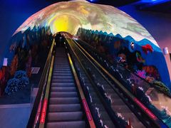 -成都浩海立方海洋公园