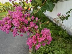 -嘉北郊野公园