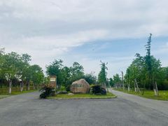 -南湖湿地公园