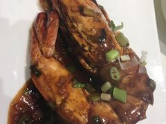 豉油皇北海野生对虾-皇朝会.经典传统粤菜(外滩店)