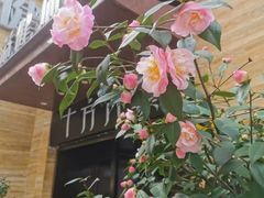 -益健·足疗汗蒸SPA(芙蓉广场店)