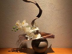-神奈川·小京