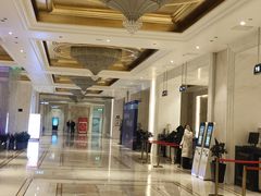 -合肥丰大国际大酒店
