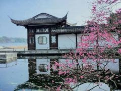 -杭州植物园