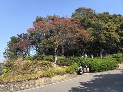 -玉树公园