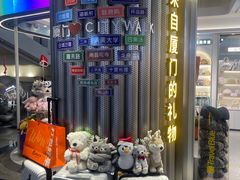 -厦门高崎国际机场-T3航站楼