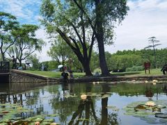 -上海共青森林公园