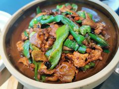 -鸽子侯·家宴·平价海鲜(市图书馆店)