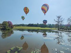 -中国科学院西双版纳热带植物园