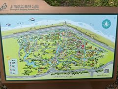 -上海滨江森林公园