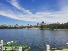 -莲花池公园
