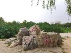 -太阳宫公园