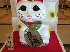 -TZ House音乐现场(茅台店)