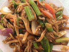 一种长在树上的蘑菇-何适山庄 ·可团建(水长城P2停车场店)