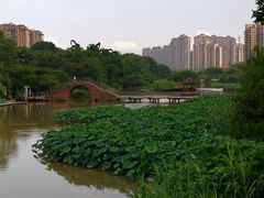 -金山公园