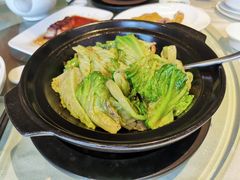 者者唐生菜-文兴酒家(晶品店)