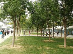 -首都医科大学附属北京天坛医院