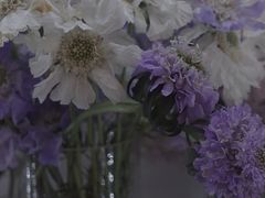 -知物癖(牛王庙店)