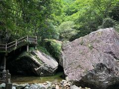 -牛背梁国家森林公园