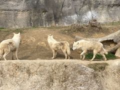 -杭州野生动物世界