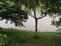 -怡海公园(桂城街道)