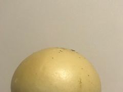 -盒马鲜生(金桥国际广场店)