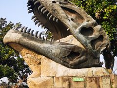 -自贡恐龙博物馆