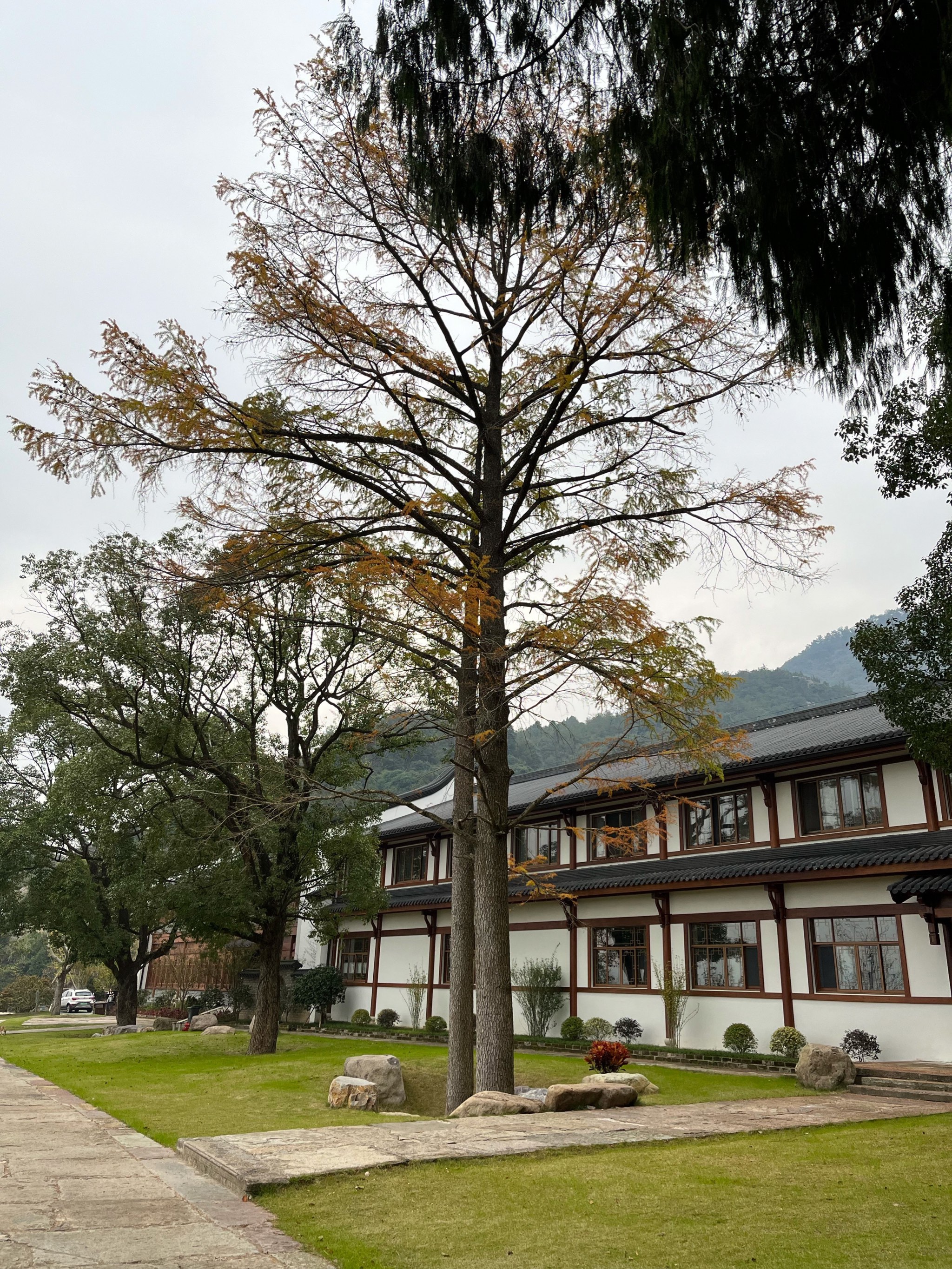 枞阳县七家岭宝华禅寺图片