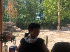 -上海野生动物园老虎餐厅