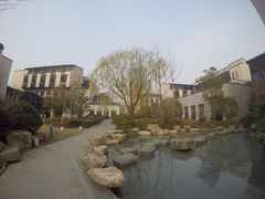 -上海崇明金茂凯悦酒店