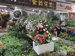 -武汉花鸟市场