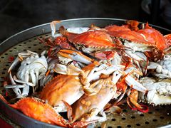 螃蟹-张会海鲜饭店(东戴河店)