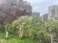 -西安交大南洋大酒店(交通大学青龙寺店)