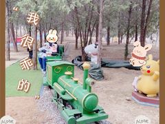 -青龙湖公园