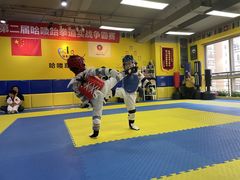 -哈喽实战跆拳道·跳绳·体能(慈云寺馆)