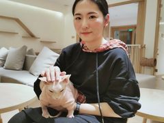 -猫腻·猫咖·撸猫馆(星光大道店)