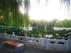 -丰台花园