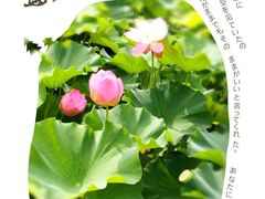-荆川公园