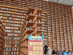 -朵云书院(滴水湖店)
