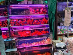 -西宁市人民公园(城西区)