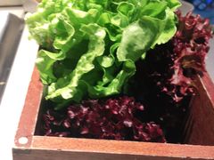 -渡娘火锅(大兴大悦春风里店)