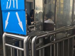 -鱼珠码头(轮渡站)