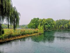 -百脉泉景区