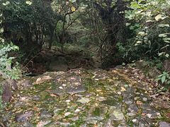 -北仑森林植物园