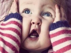 -艾尚红光动物奶油蛋糕(春霖街店)