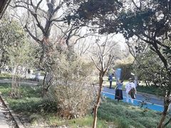 -上海吴淞炮台湾国家湿地公园