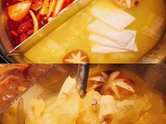 红颜花胶鸡锅-湊湊火锅·茶憩(石家庄万象城店)