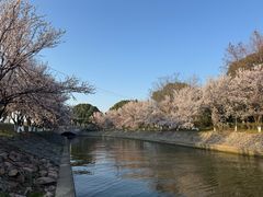 -阳澄湖半岛旅游度假区